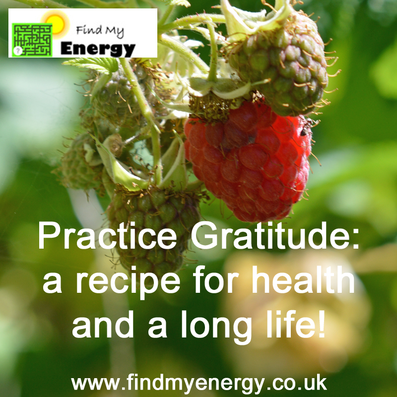 Practice Gratitude: A Recipe For Health And A Long Life